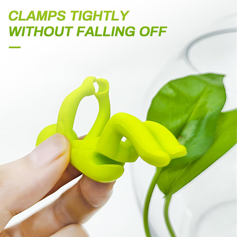 Hydroponic Plant Fixing Figuri - огляд і ціна Interior Design Office