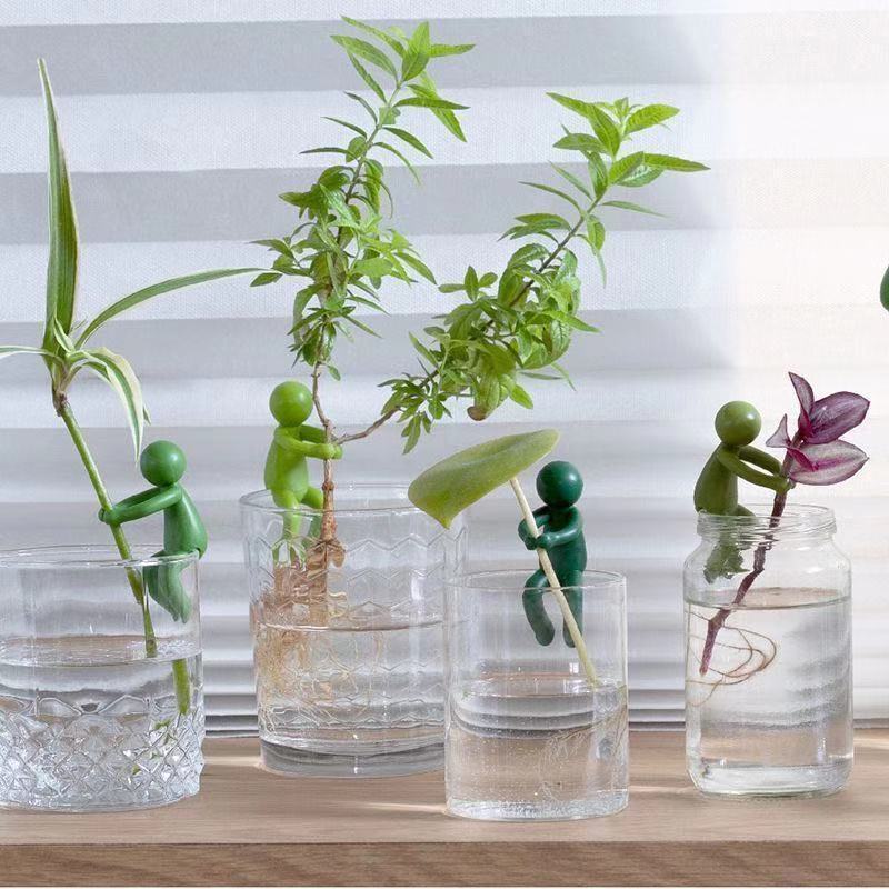 Hydroponic Plant Fixing Figuri - огляд і ціна Interior Design Office
