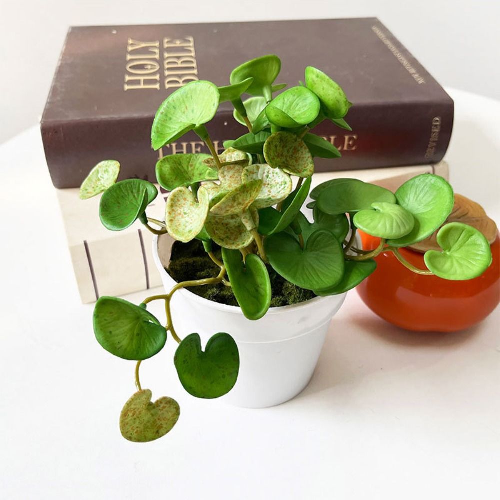 Soft Glue Artificial Plant EVA - огляд і ціна Interior Design Office