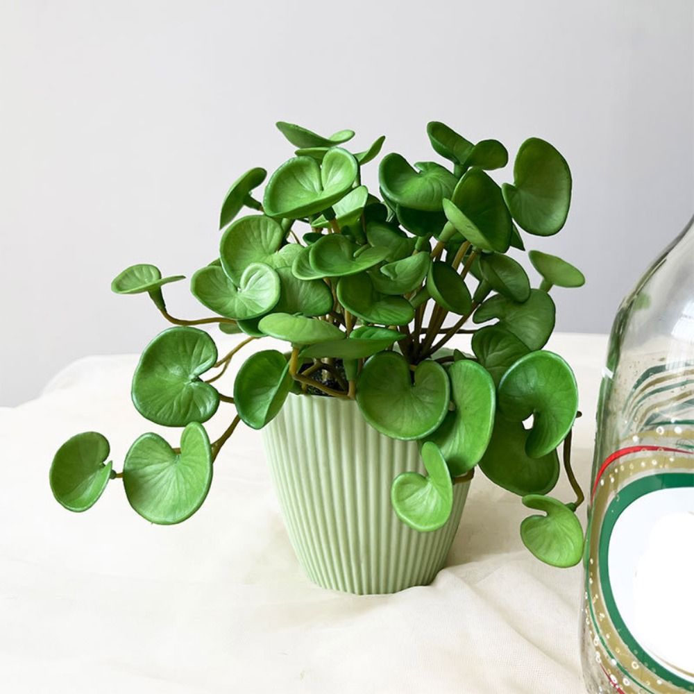Soft Glue Artificial Plant EVA - огляд і ціна Interior Design Office